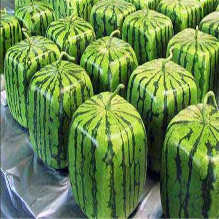 Watermelons